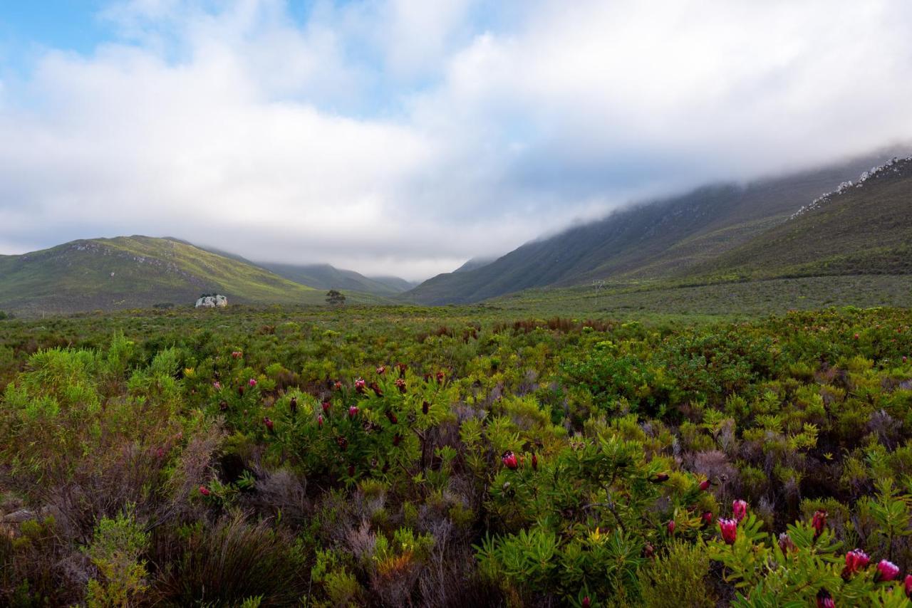 Honeyrock Cottages Kleinmond ภายนอก รูปภาพ