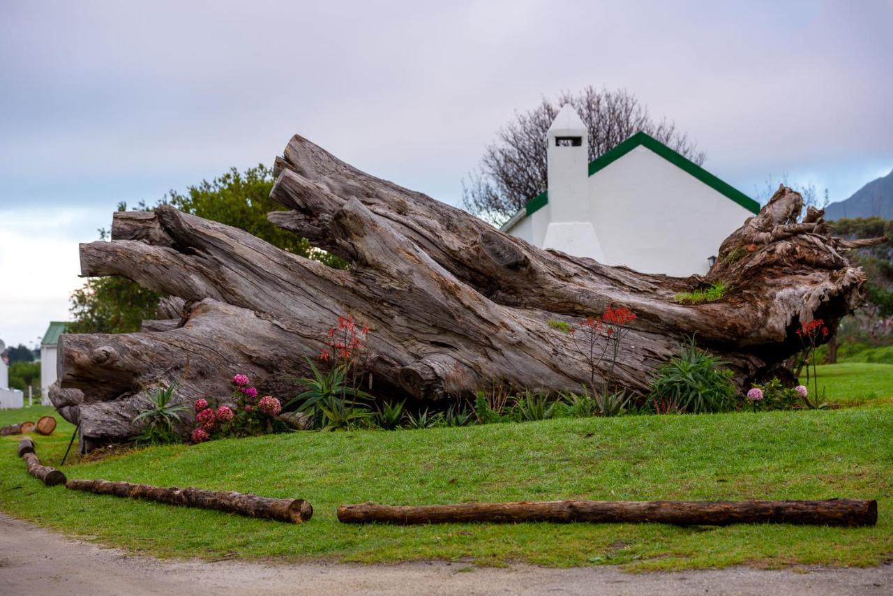 Honeyrock Cottages Kleinmond ภายนอก รูปภาพ